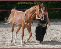 1-13JUIN 1071